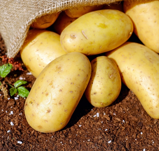 Where To Get Your PEI Potato Fix 7