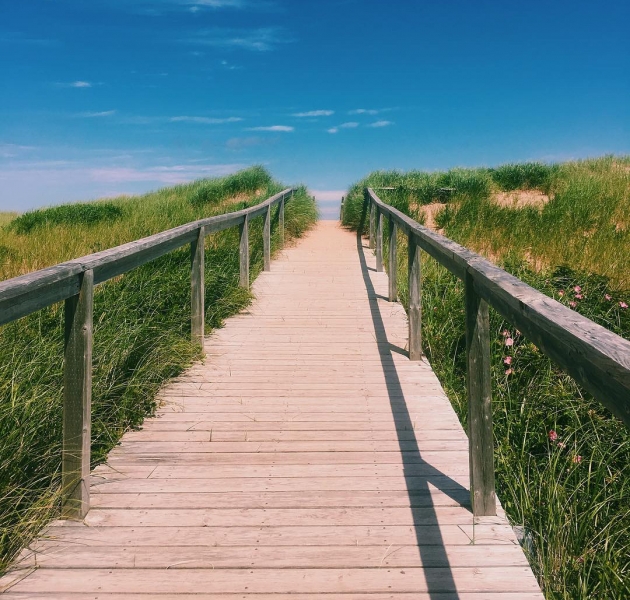 Top 10 PEI Beaches Loved by Locals 43