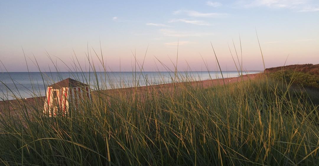 Top 10 PEI Beaches Loved by Locals 50