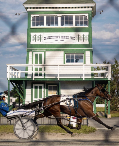 Explore Like a Local in Charlottetown 17