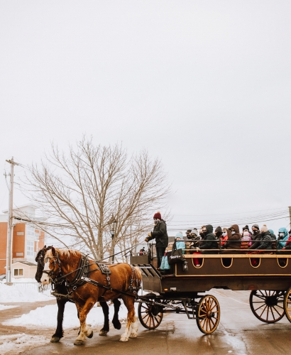 Yuletide Horse & Wagon Rides