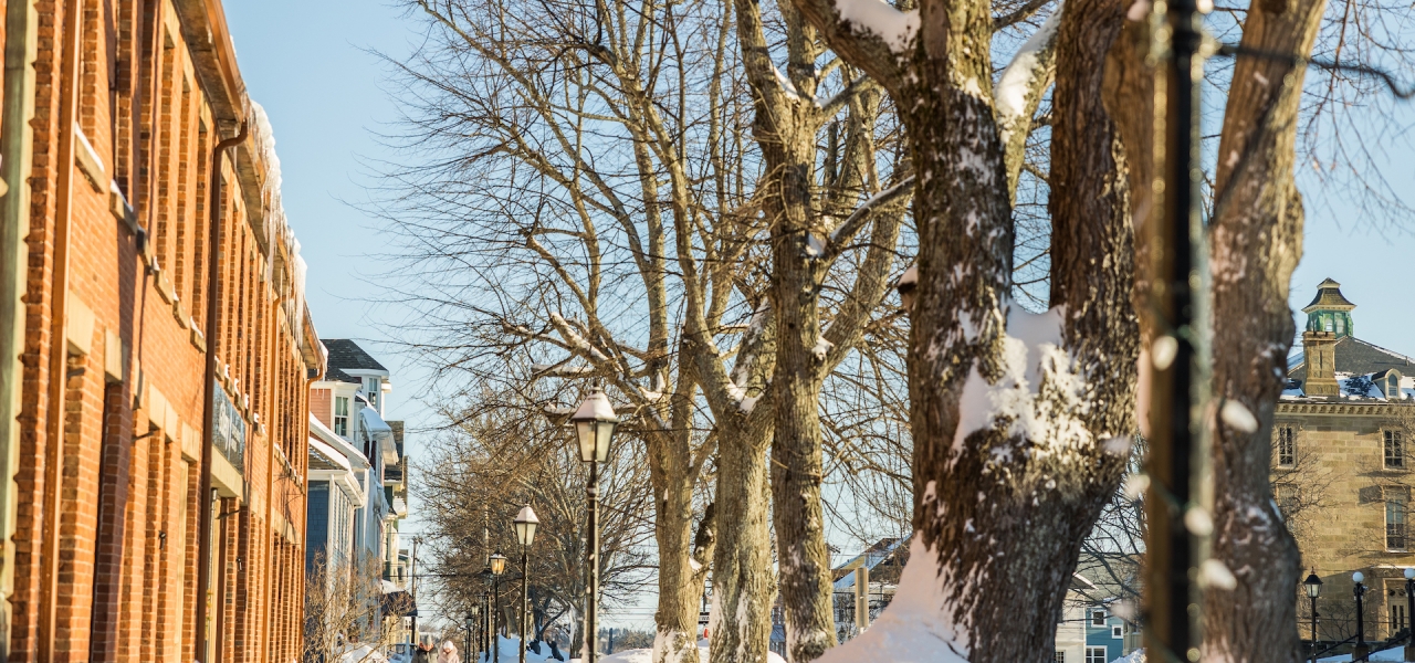 44 Things to Do This Winter in Charlottetown 11