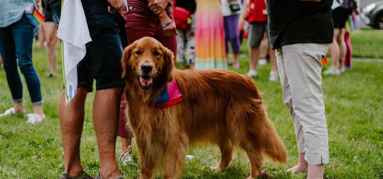 Pet-Friendly Charlottetown 6