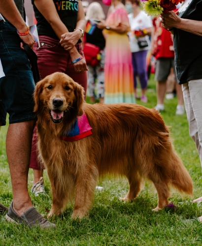 Pet-Friendly Charlottetown 6