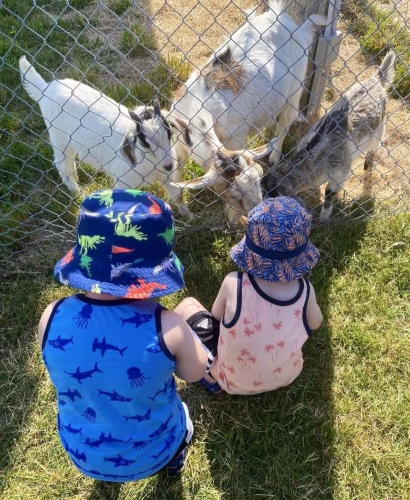 Kid-Approved Adventures: Your Guide to Family Fun in Charlottetown 37