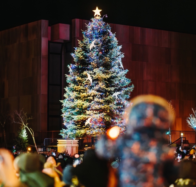Charlottetown Christmas Festival 29