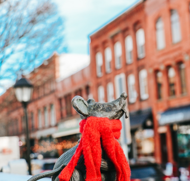 40+ Things to Do This Winter in Charlottetown 21