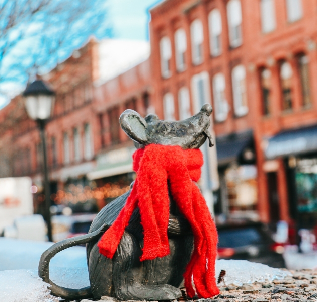 40+ Things to Do This Winter in Charlottetown 22